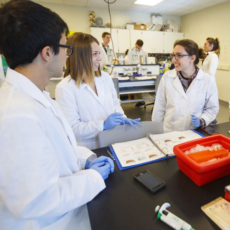 students in lab classroom with white lab coats and gloves