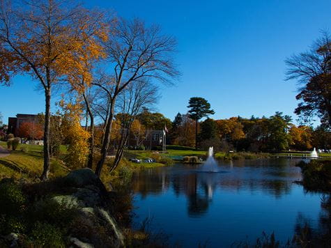 scenic spring/summer shot of pond and trees 