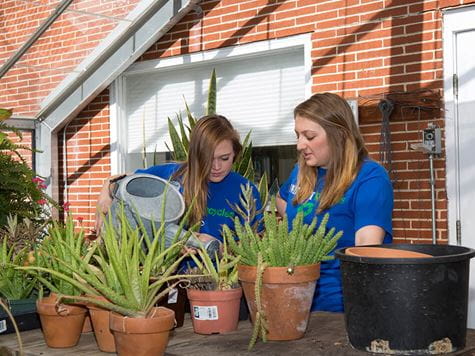 2 students working with plants/in greenhouse