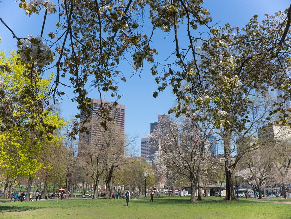 Boston Commons