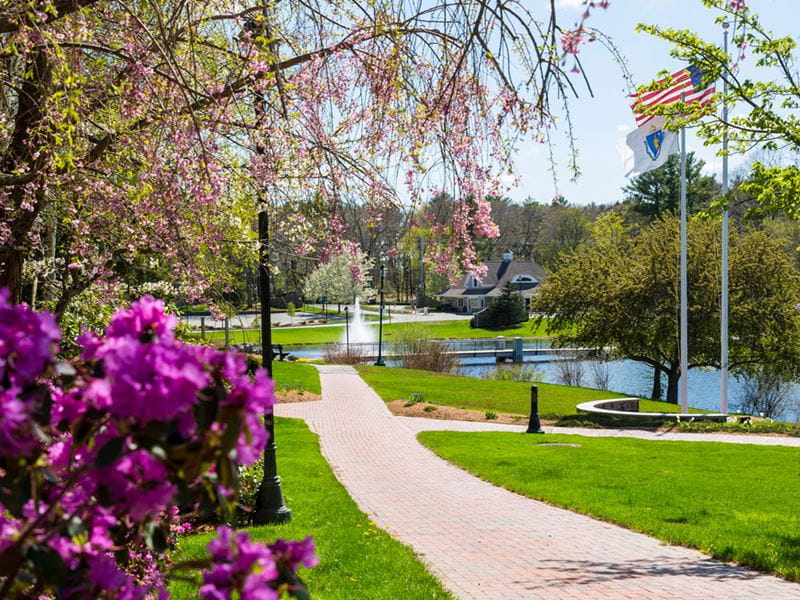 Scenic spring photo from the center of Endicott College's campus