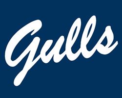 Cursive Gulls on Dark