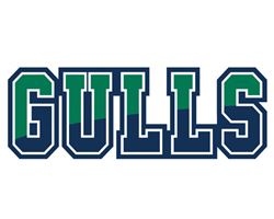 Gulls Typography without Endicott