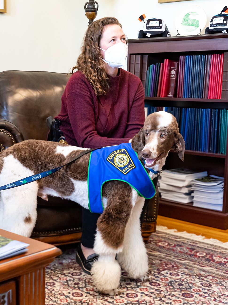 Gary the Comfort Dog