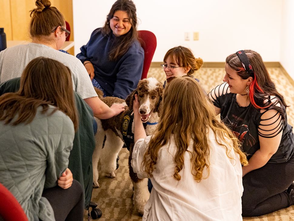 Gary the Comfort Dog