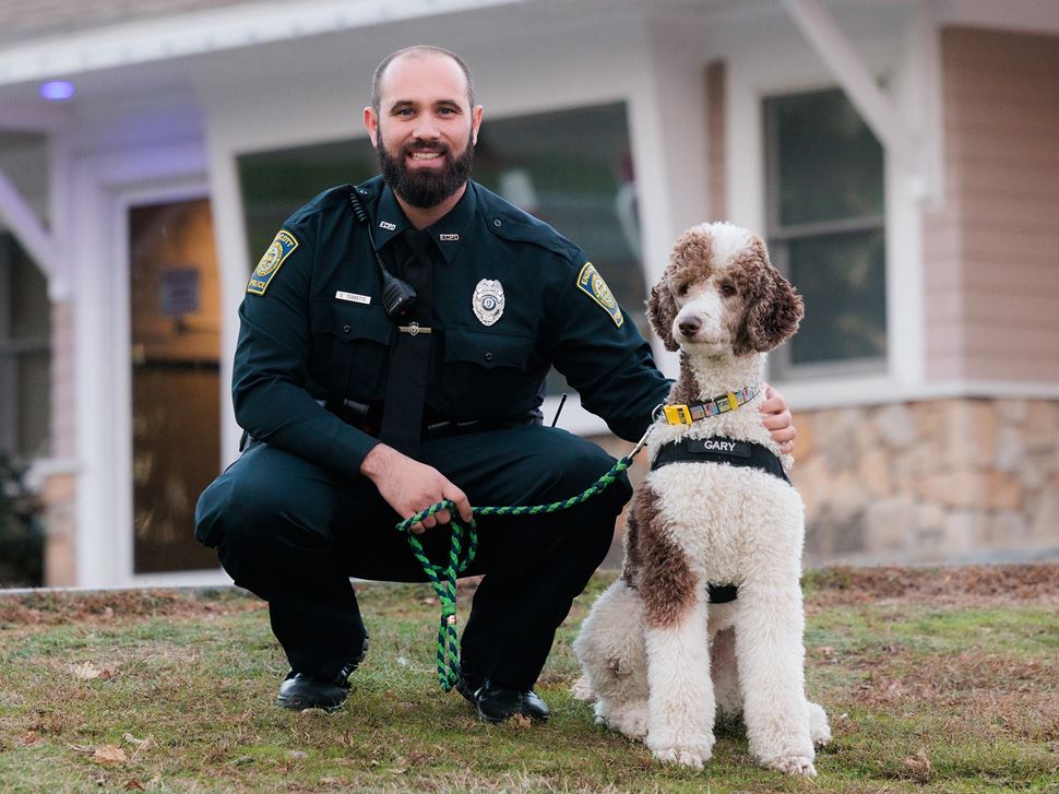Gary the Comfort Dog