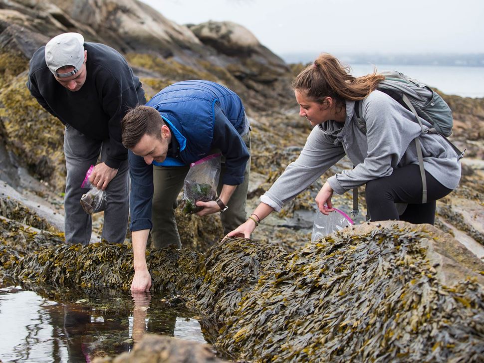 Gordon Ober with two students at Endicott's seaside location