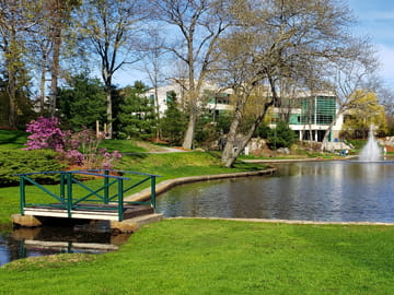 Endicott College Strategic Plan