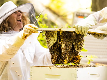 Endicott College Strategic Plan