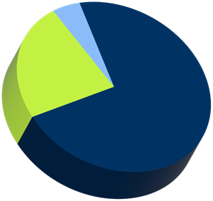Pie chart of undergraduate demographics