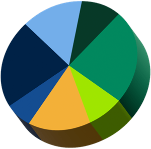 Pie chart of undergraduate demographics