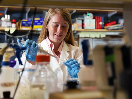 Endicott student working in the bio lab in the academic center