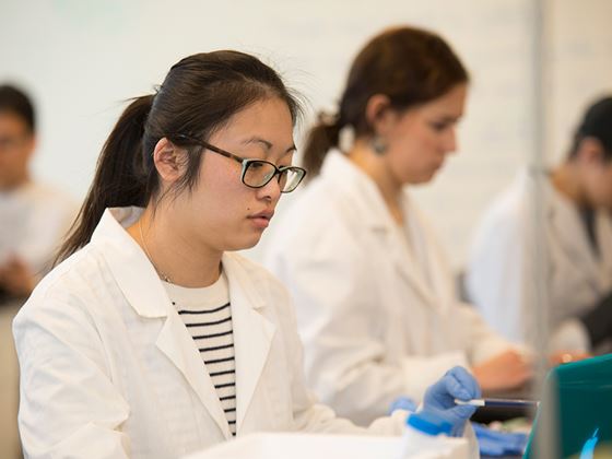 a pre-med student working in a lab with other classmates