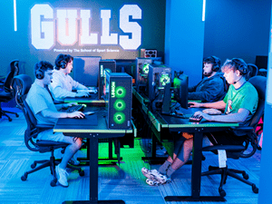 Students in The Endicott Esports Lab