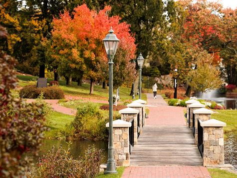 bridge in autumn 