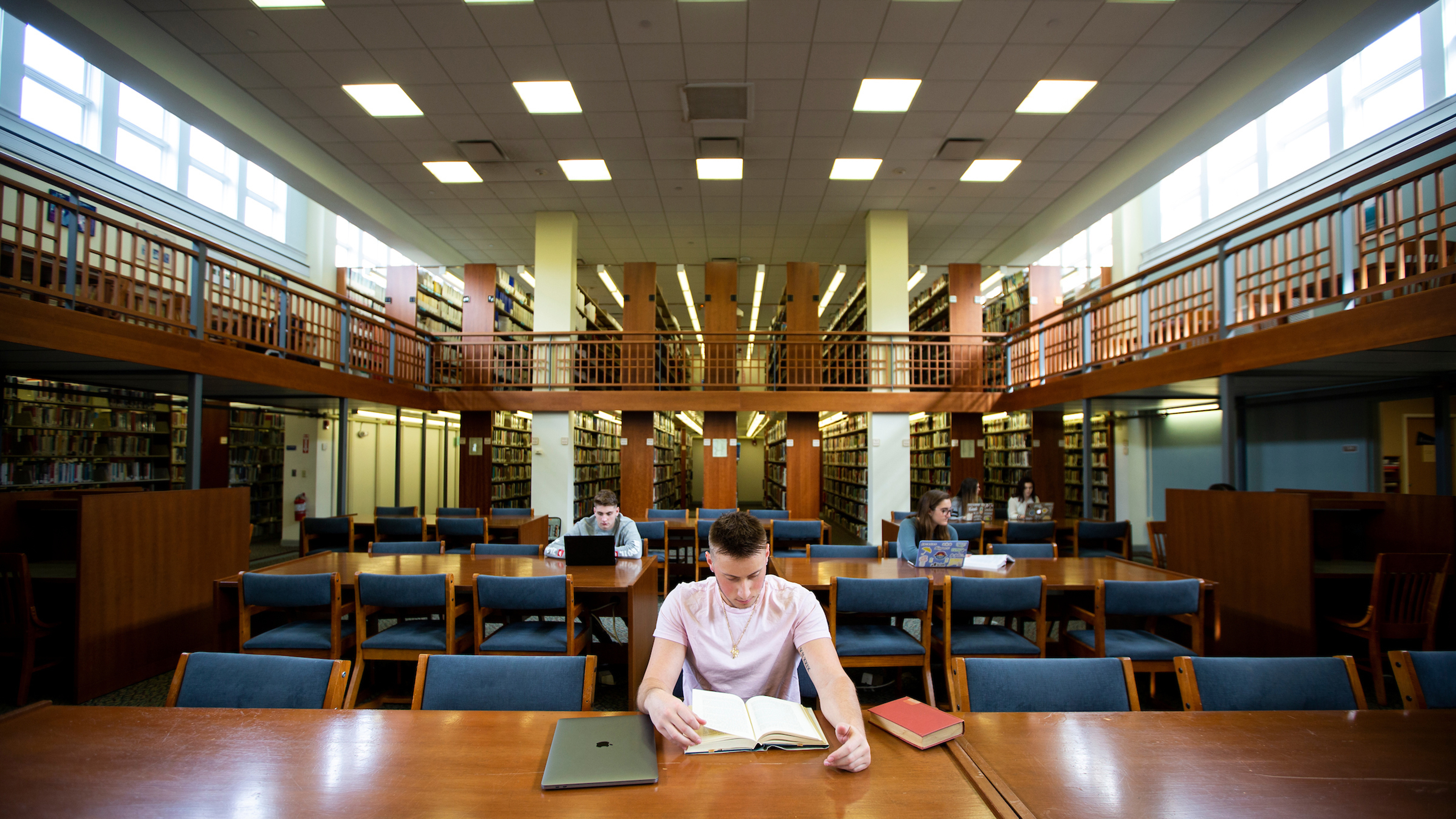 Summer reading from Endicott College faculty authors.