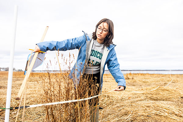 Faith DaSilva at Mass Audobon internship