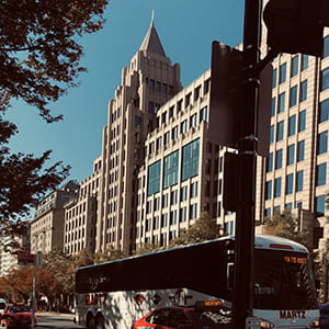 Tacy Cresson in Washington