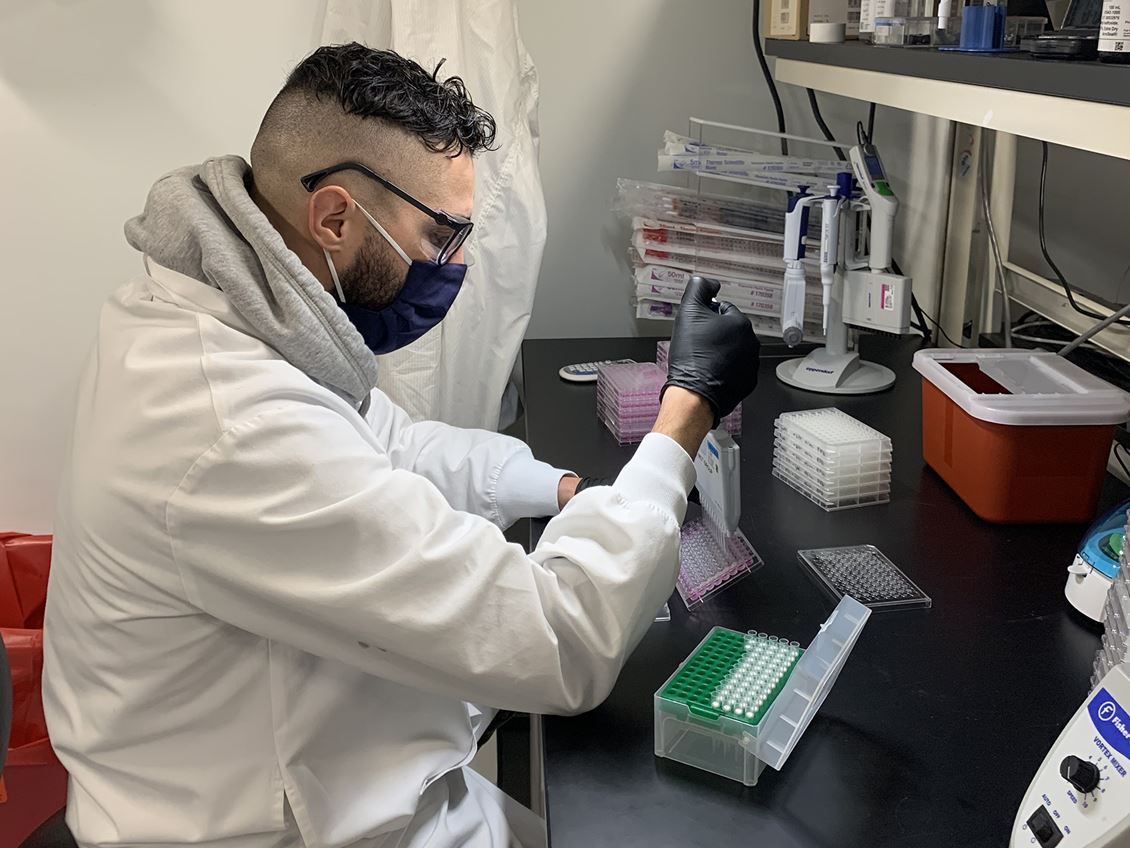 Endicott Alum Quinones at Moderna