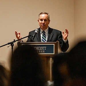 Festival of Lights_1