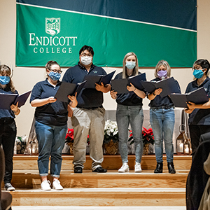 Festival of Lights_3