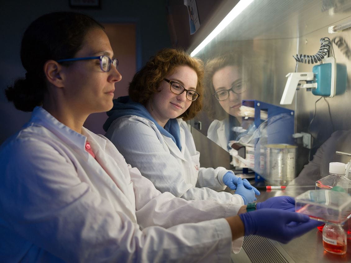 Endicott College has been awarded $405,000 by the Massachusetts Life Sciences Center to support new and expanded STEM curricula.