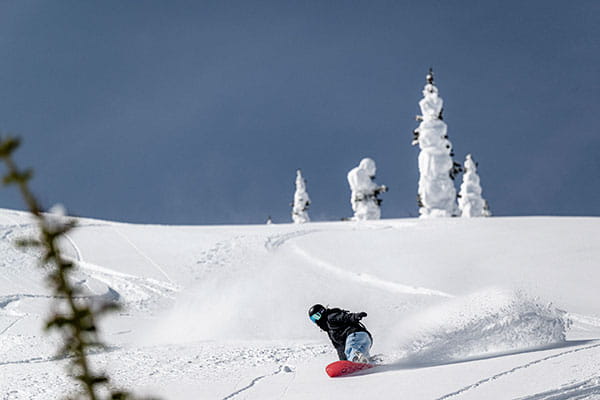 After graduation, a few lucky Gulls flocked further north to Vermont and found interesting, creative, and fulfilling careers at Burton Snowboards, where moving from snow-covered slopes to cozy office spaces is all in a day’s work. 