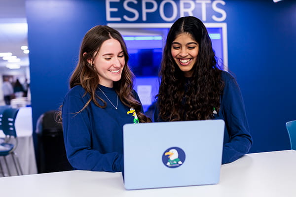 Meet GullCentral, Endicott College’s new all-in-one student app for events, clubs, SGA voting, and campus life—designed to help you stay connected, get involved, and never miss what’s happening.  