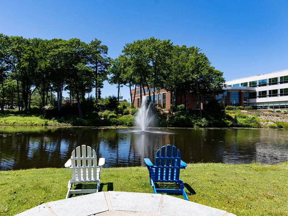 Endicott College campus during summer