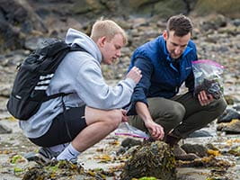 Studying plant life in the field near Endicott