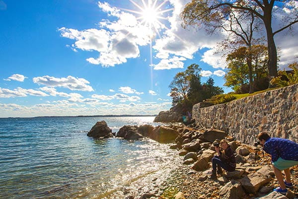 Seawall breach at Endicott Beach