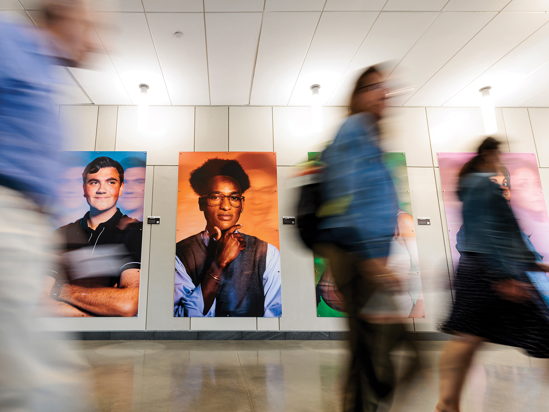 Gull with Grit exhibit