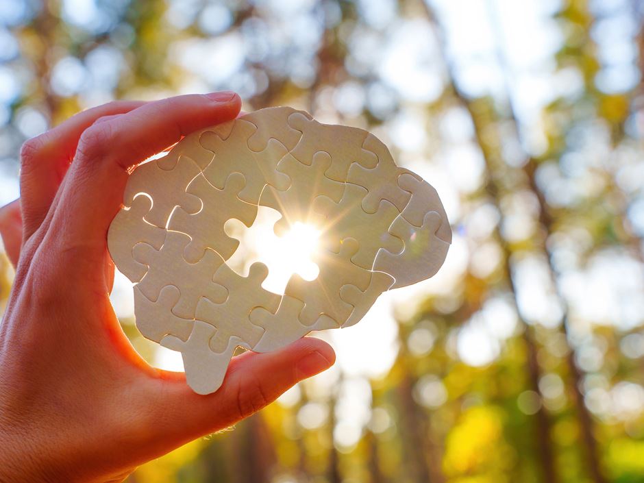 A hand holding puzzle pieces up to the sun