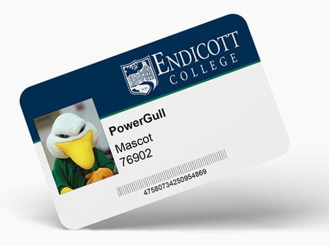 Gull card image 2021A