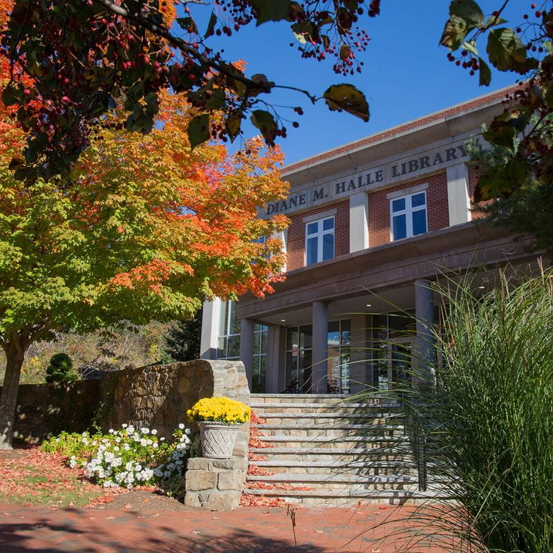 angled fall shot of Halle library with trees around it