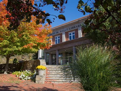 angled fall shot of Halle library with trees surrounding