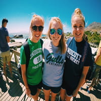 Gulls in South Africa