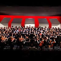 an orchestra playing for a crowd