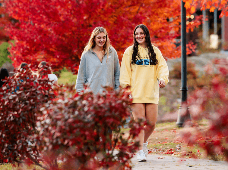 Students walking through campus