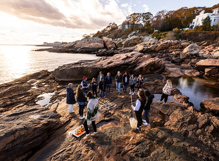 Endicott students in a class on the beach