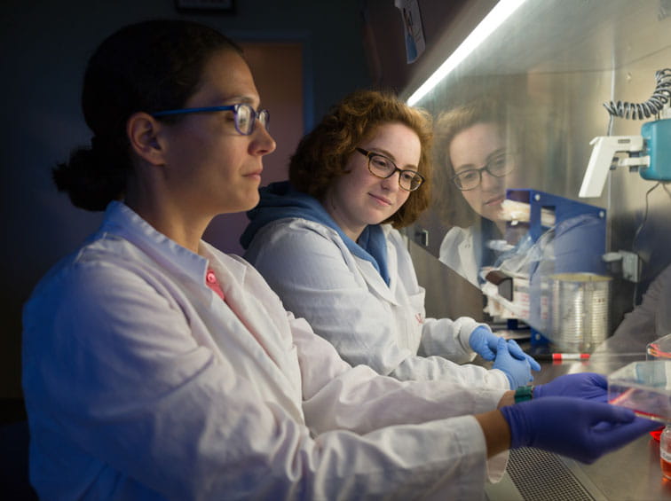 Students in lab